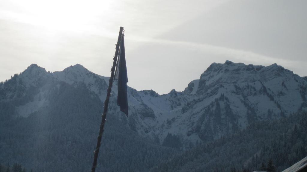 Hotel Le Mont Jorat Abondance Zewnętrze zdjęcie